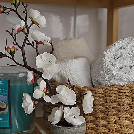 Residenza Noe In Antica - & Bed & Breakfast